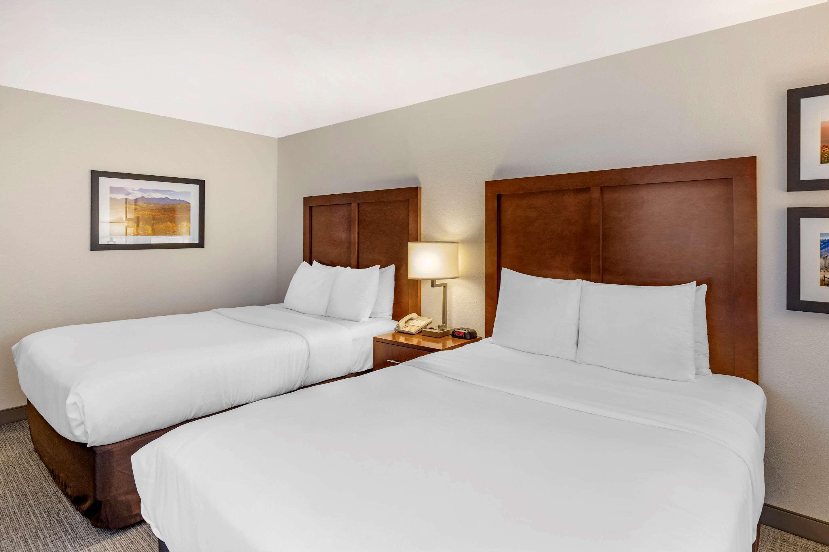 Comfort Inn & Suites Carbondale On The Roaring Fork Ngoại thất bức ảnh