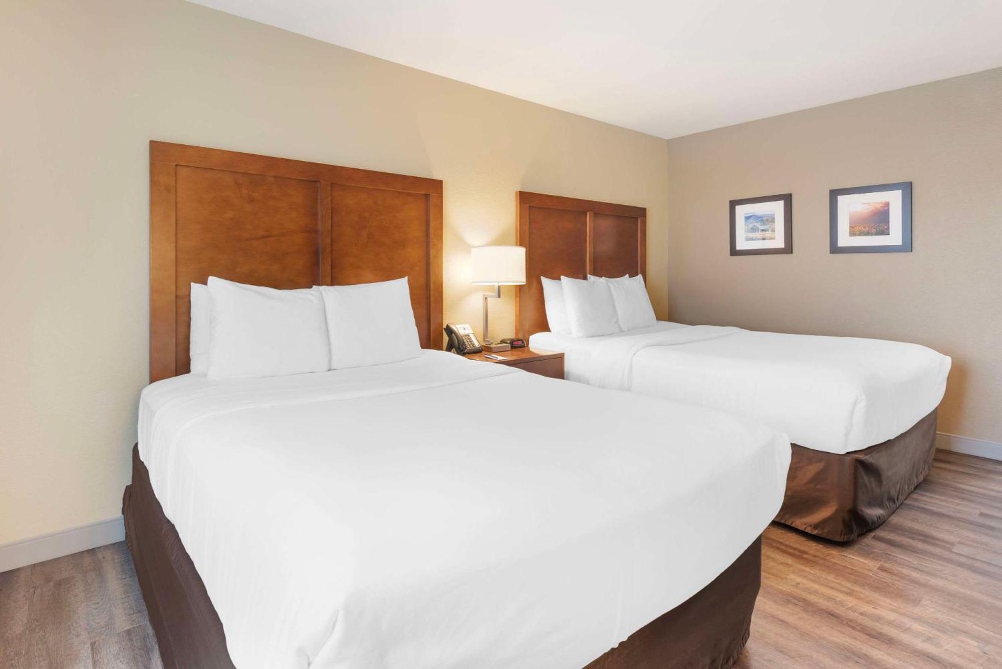 Comfort Inn & Suites Carbondale On The Roaring Fork Ngoại thất bức ảnh