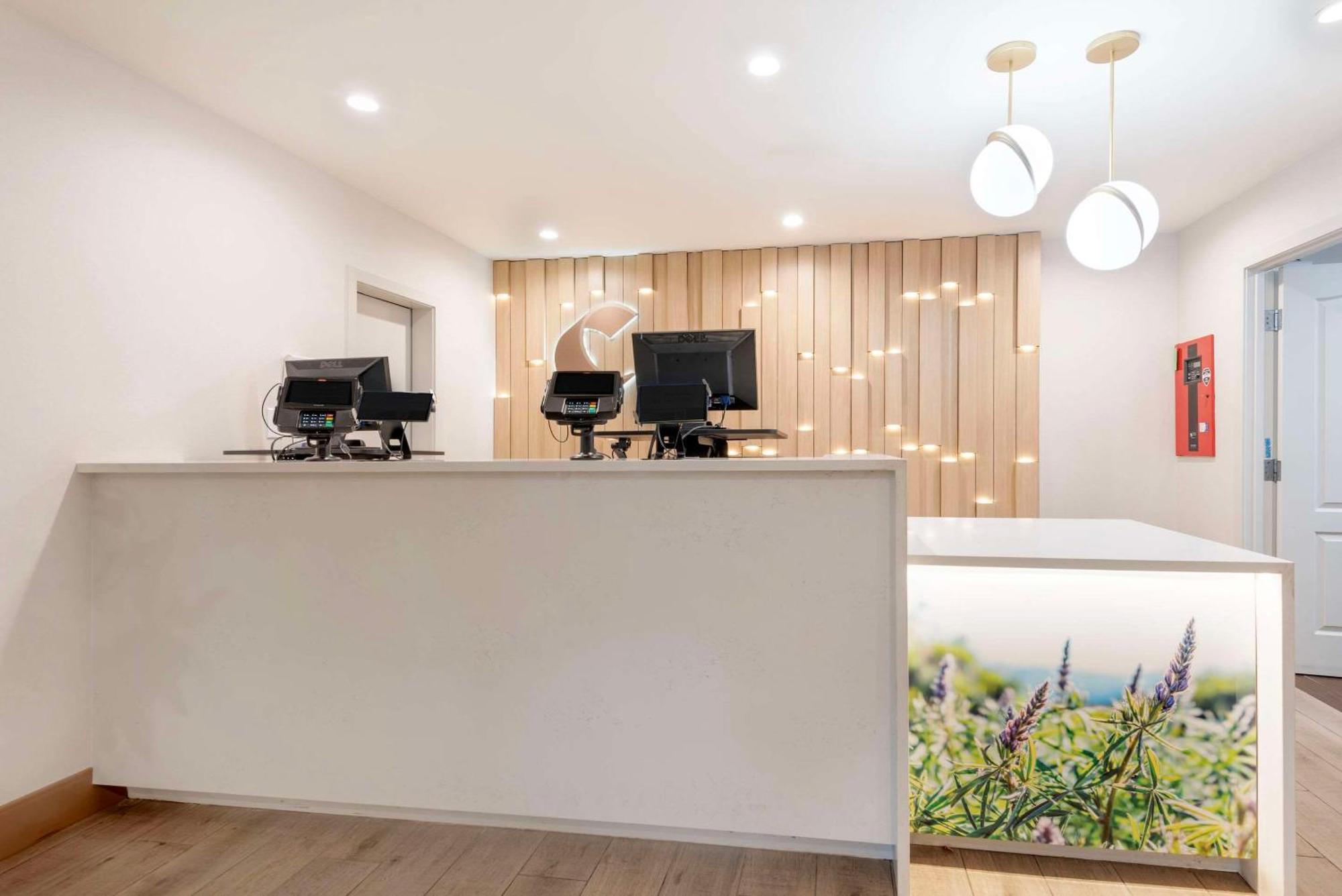 Comfort Inn & Suites Carbondale On The Roaring Fork Ngoại thất bức ảnh